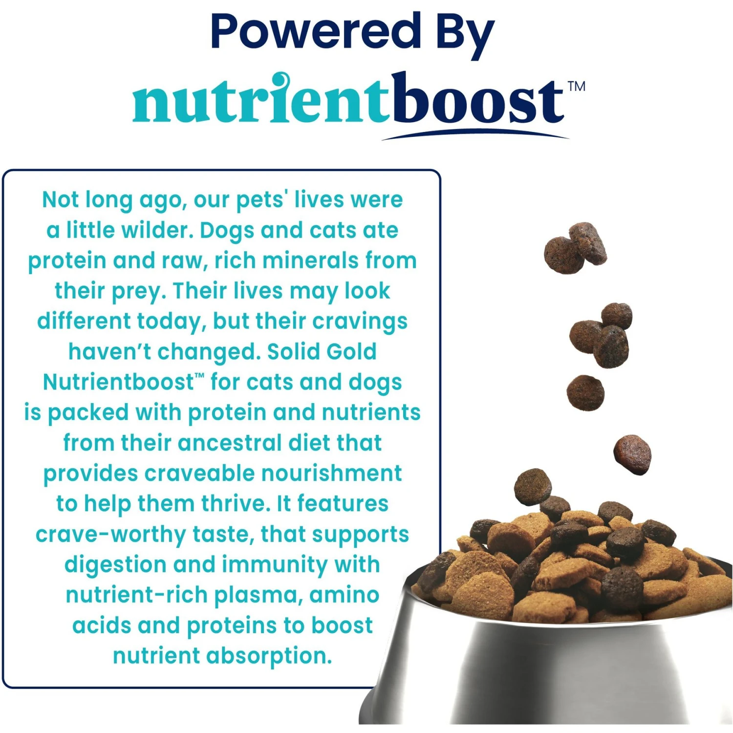 Solid Gold Nutrient Boost Grain-Free Dog Food Topper 7 Solid Gold Nutrient Boost Grain-Free Dog Food Topper - Image 5