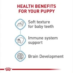 Royal Canin Size Health Nutrition Starter Mother & Babydog Mousse In Sauce Canned Dog Food -Snuggle Paws 272675 PT4. AC SS1800 V1697213093
