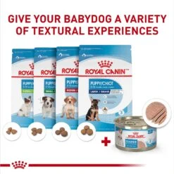 Royal Canin Size Health Nutrition Starter Mother & Babydog Mousse In Sauce Canned Dog Food -Snuggle Paws 272675 PT5. AC SS1800 V1697212426