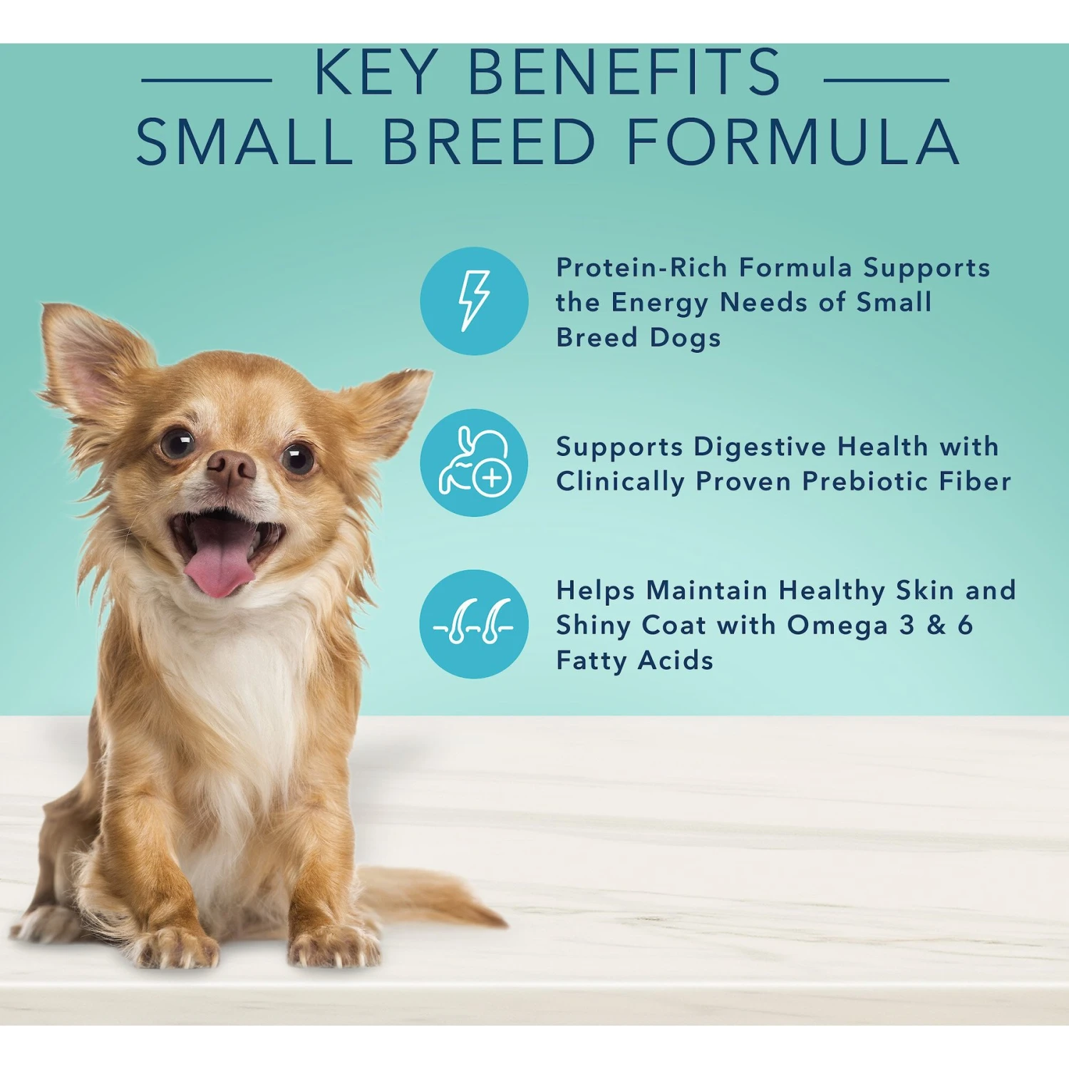 Blue Buffalo True Solutions Small & Mighty Small Breed Formula Adult Wet Dog Food, 5.5-oz Can, Case Of 24 5 Blue Buffalo True Solutions Small & Mighty Small Breed Formula Adult Wet Dog Food, 5.5-oz Can, Case Of 24 - Image 3