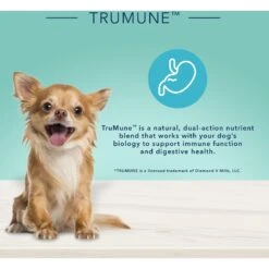 Blue Buffalo True Solutions Small & Mighty Small Breed Formula Adult Wet Dog Food, 5.5-oz Can, Case Of 24 15 Blue Buffalo True Solutions Small & Mighty Small Breed Formula Adult Wet Dog Food, 5.5-oz Can, Case Of 24 -Snuggle Paws 272990 PT5. AC SS1800 V1628184370