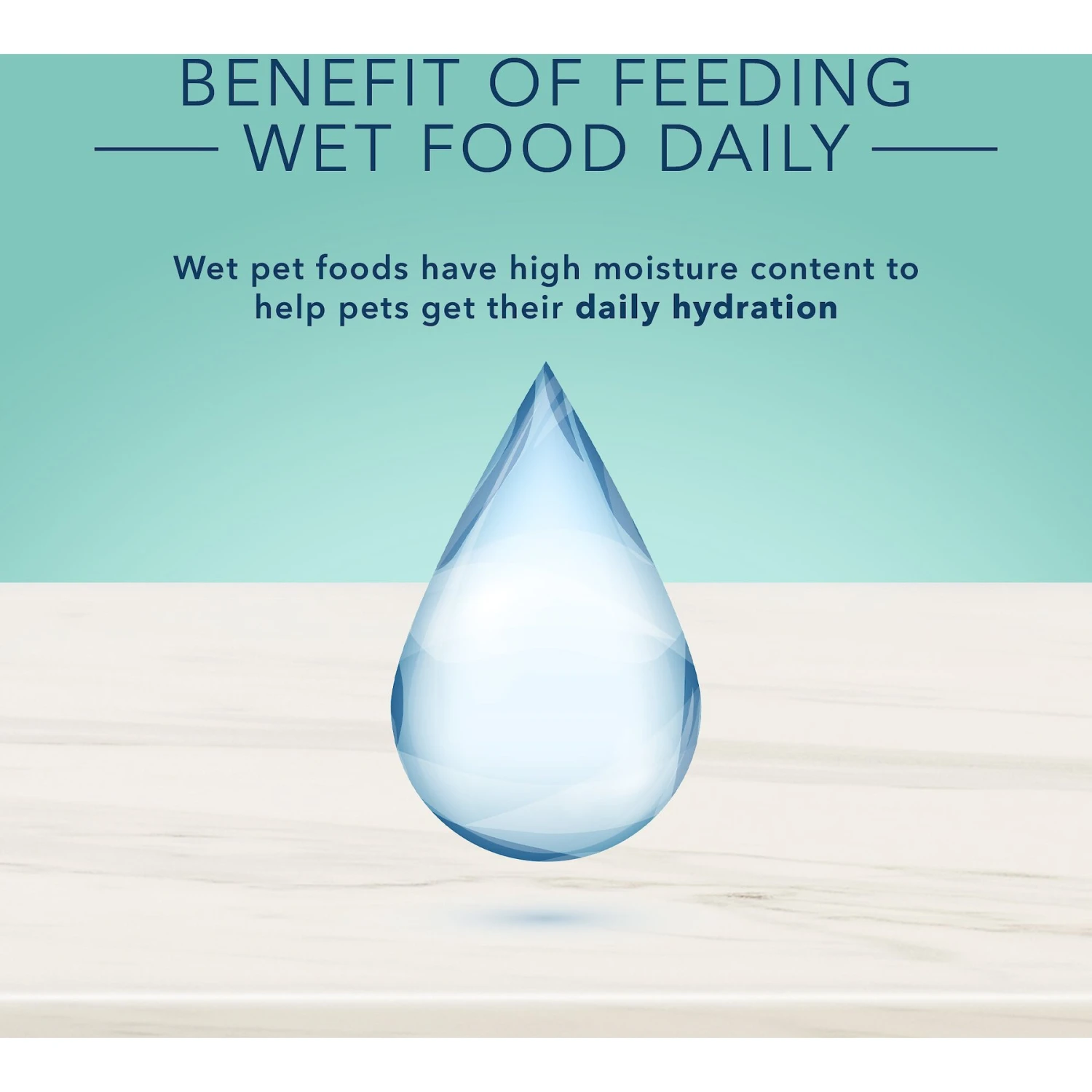 Blue Buffalo True Solutions Small & Mighty Small Breed Formula Adult Wet Dog Food, 5.5-oz Can, Case Of 24 9 Blue Buffalo True Solutions Small & Mighty Small Breed Formula Adult Wet Dog Food, 5.5-oz Can, Case Of 24 - Image 7