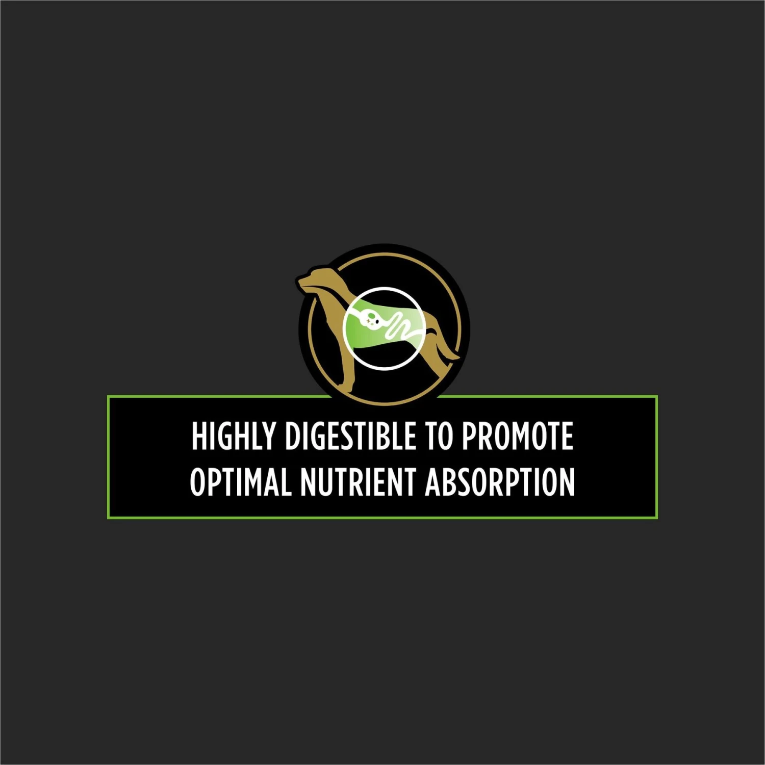 Purina Pro Plan Veterinary Diets HA Hydrolyzed Salmon Flavor Dry Dog Food 8 Purina Pro Plan Veterinary Diets HA Hydrolyzed Salmon Flavor Dry Dog Food - Image 6