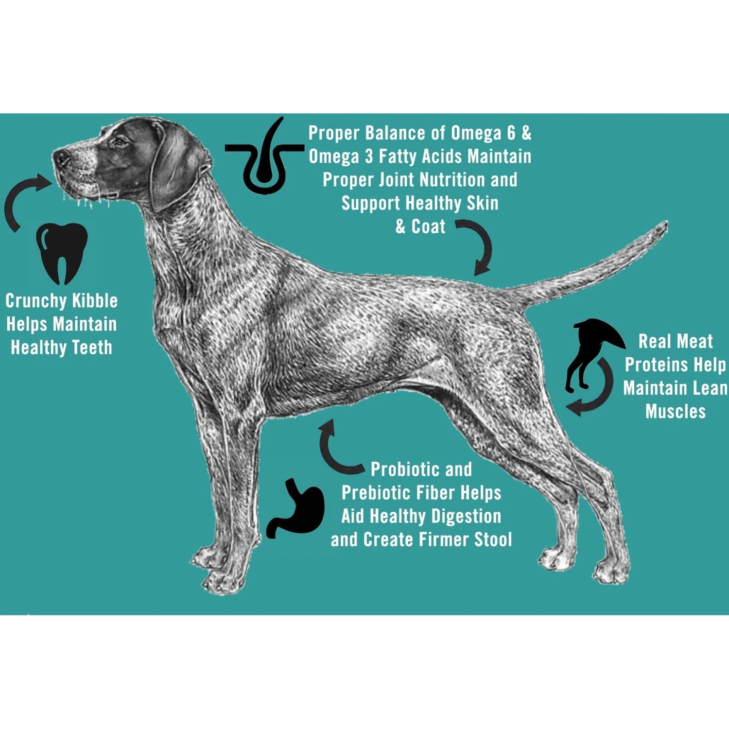 Chicken Soup For The Soul Beef & Brown Rice Recipe Adult Dry Dog Food 6 Chicken Soup For The Soul Beef & Brown Rice Recipe Adult Dry Dog Food - Image 4