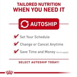 Royal Canin Veterinary Diet Adult Advanced Mobility Support Dry Dog Food -Snuggle Paws 275995 PT7. AC SS1800 V1694463422