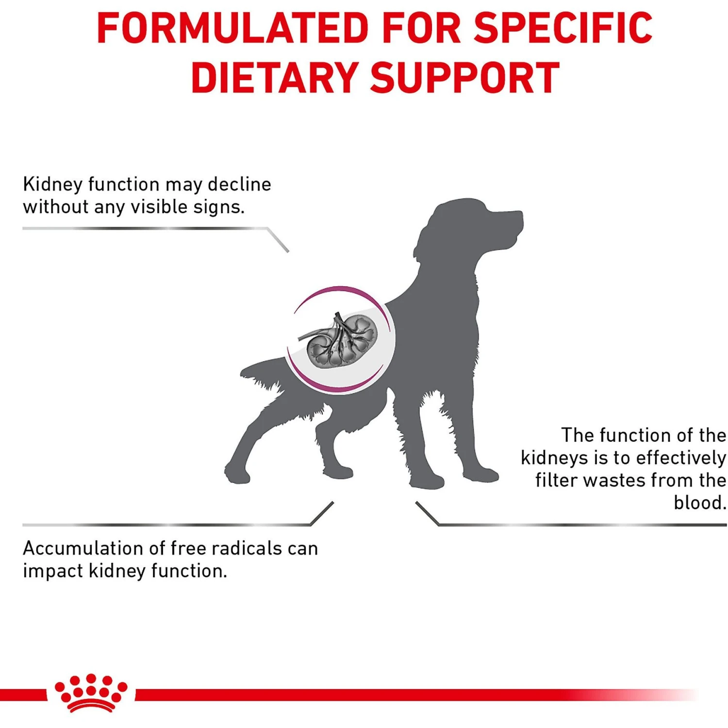 Royal Canin Veterinary Diet Renal Support Early Consult Dry Dog Food 5 Royal Canin Veterinary Diet Renal Support Early Consult Dry Dog Food - Image 3