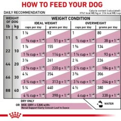 Royal Canin Veterinary Diet Renal Support Early Consult Dry Dog Food 18 Royal Canin Veterinary Diet Renal Support Early Consult Dry Dog Food -Snuggle Paws 275998 PT7. AC SS1800 V1701379766