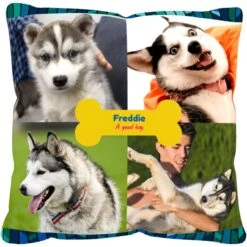 Frisco "Contemporary #2" Throw Pillow 16 X 16 -Snuggle Paws 276901 PT2. AC SS1800 V1625686286