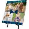 Frisco "Contemporary #2" Ceramic Photo Tile With Stand -Snuggle Paws 276919 MAIN. AC SS1800 V1624984374