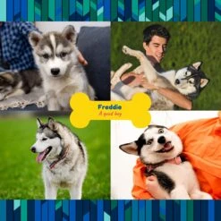 Frisco "Contemporary #2" Ceramic Photo Tile With Stand -Snuggle Paws 276919 PT2. AC SS1800 V1625685369