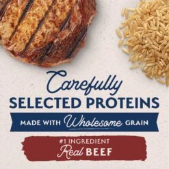 Natural Balance Limited Ingredient Beef & Brown Rice Recipe Dry Dog Food -Snuggle Paws 277101 PT3. AC SS1800 V1652124386