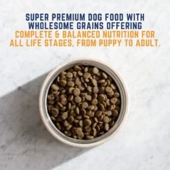 Natural Balance Original Ultra Chicken & Barley Formula Large Breed Bites Dry Dog Food, 30-lb Bag -Snuggle Paws 277109 PT2. AC SS1800 V1614208048