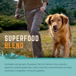 Natural Balance Original Ultra Chicken & Barley Formula Large Breed Bites Dry Dog Food, 30-lb Bag -Snuggle Paws 277109 PT4. AC SS1800 V1614207437
