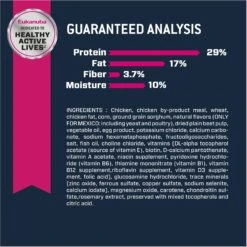 Eukanuba Senior Small Breed Dry Dog Food -Snuggle Paws 282287 PT5. AC SS1800 V1677085122