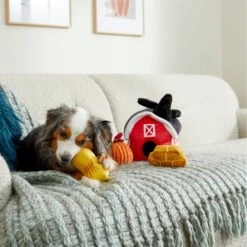 Frisco Fall Farmhouse Hide & Seek Puzzle Plush Squeaky Dog Toy -Snuggle Paws 285629 PT3. AC SS1800 V1629725107