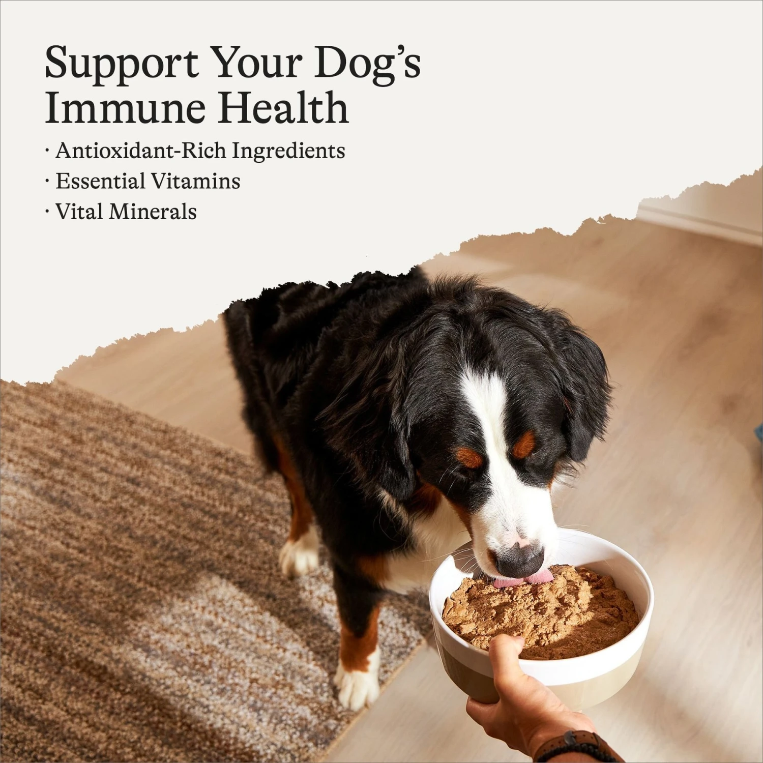 American Journey Poultry & Beef Variety Pack Canned Dog Food, 12.5-oz, Case Of 12 4 American Journey Poultry & Beef Variety Pack Canned Dog Food, 12.5-oz, Case Of 12 - Image 2