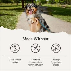 American Journey Poultry & Beef Variety Pack Canned Dog Food, 12.5-oz, Case Of 12 14 American Journey Poultry & Beef Variety Pack Canned Dog Food, 12.5-oz, Case Of 12 -Snuggle Paws 286581 PT5. AC SS1800 V1696880194