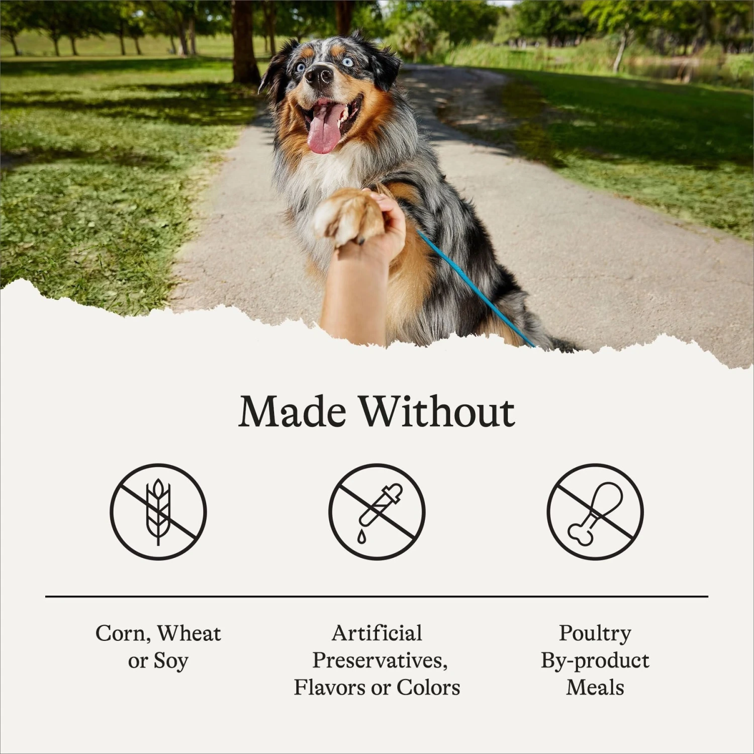 American Journey Poultry & Beef Variety Pack Canned Dog Food, 12.5-oz, Case Of 12 8 American Journey Poultry & Beef Variety Pack Canned Dog Food, 12.5-oz, Case Of 12 - Image 6