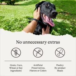 American Journey Savory Toppers Beef Recipe In Gravy Grain-Free Dog Food Topper, 3-oz Pouches, Case Of 24 -Snuggle Paws 286953 PT6. AC SS1800 V1628536076