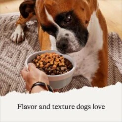 American Journey Savory Toppers Chicken Recipe In Gravy Grain-Free Dog Food Topper, 3-oz Pouches, Case Of 24 -Snuggle Paws 286955 PT3. AC SS1800 V1628536047