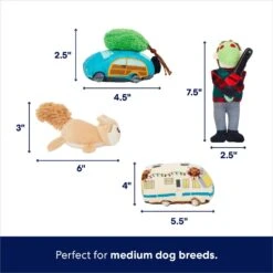 Frisco Holiday House Hide & Seek Puzzle Plush Squeaky Dog Toy -Snuggle Paws 287083 PT2. AC SS1800 V1695046042