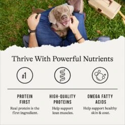 American Journey Chicken Recipe Grain-Free Canned Dog Food, 12.5-oz -Snuggle Paws 287336 PT5. AC SS1800 V1696608383