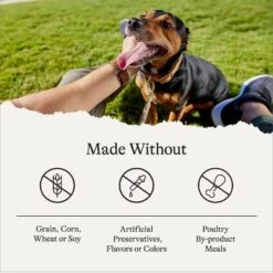 American Journey Chicken Recipe Grain-Free Canned Dog Food, 12.5-oz -Snuggle Paws 287336 PT7. AC SS1800 V1696608328