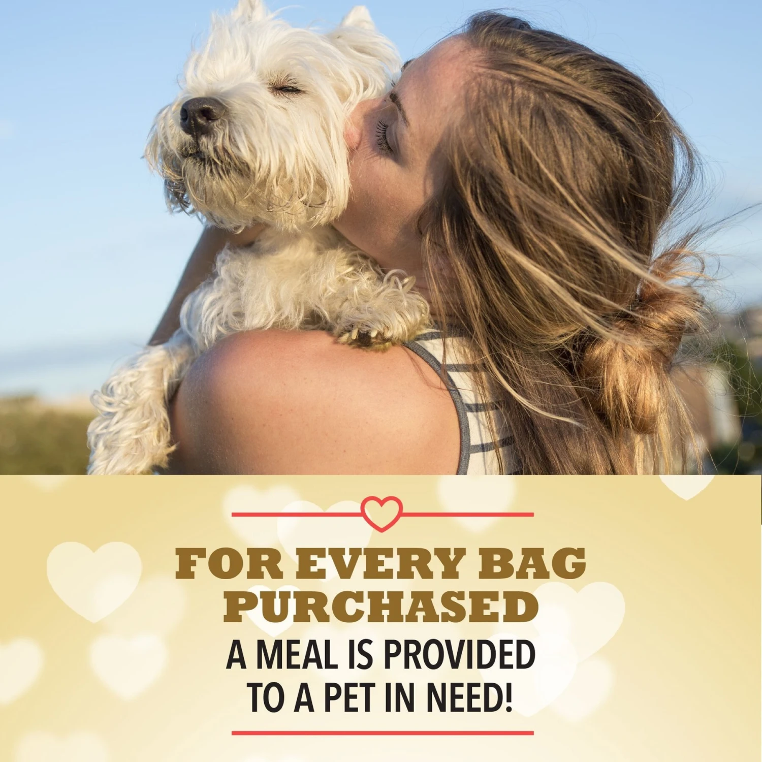 ACANA Rescue Care For Adopted Dogs Red Meat Sensitive Digestion Dry Dog Food 7 ACANA Rescue Care For Adopted Dogs Red Meat Sensitive Digestion Dry Dog Food - Image 5