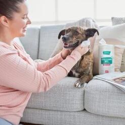 Frisco Gentle Cleaning Waterless Grooming Wipes For Puppies & Kittens, Green Tea Scent 12 Frisco Gentle Cleaning Waterless Grooming Wipes For Puppies & Kittens, Green Tea Scent -Snuggle Paws 291592 PT4. AC SS1800 V1627306695