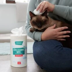Frisco Gentle Cleaning Waterless Grooming Wipes For Puppies & Kittens, Green Tea Scent 13 Frisco Gentle Cleaning Waterless Grooming Wipes For Puppies & Kittens, Green Tea Scent -Snuggle Paws 291592 PT5. AC SS1800 V1627306905