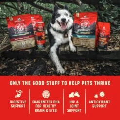 Stella & Chewy's Wild Red Raw Coated Kibble Grain-Free Red Meat Recipe Dry Dog Food -Snuggle Paws 291618 PT7. AC SS1800 V1645557015