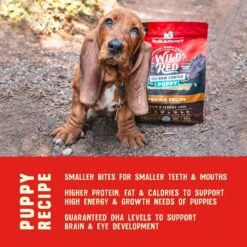 Stella & Chewy's Wild Red Raw Coated Kibble Puppy Grain-Free Prairie Recipe Dry Dog Food 17 Stella & Chewy's Wild Red Raw Coated Kibble Puppy Grain-Free Prairie Recipe Dry Dog Food -Snuggle Paws 291624 PT6. AC SS1800 V1645585763