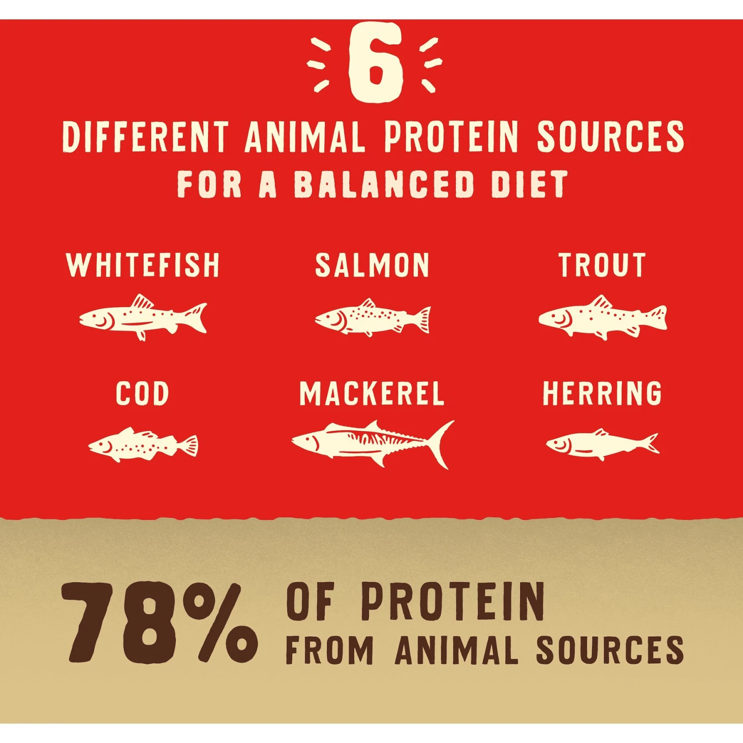 Stella & Chewy's Wild Red Raw Coated Kibble Wholesome Grains Ocean Recipe Dry Dog Food 8 Stella & Chewy's Wild Red Raw Coated Kibble Wholesome Grains Ocean Recipe Dry Dog Food - Image 6