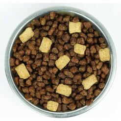 Stella & Chewy's Wild Red Raw Blend Kibble Wholesome Grains Red Meat Recipe Dry Dog Food -Snuggle Paws 291647 PT4. AC SS1800 V1619849550