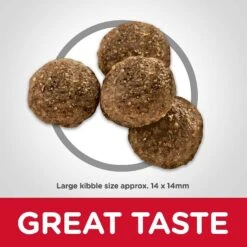 Hill's Science Diet Adult Large Breed Lamb Meal & Brown Rice Dry Dog Food & Hill's Natural Soft Savories With Peanut Butter & Banana Dog Treats -Snuggle Paws 293172 PT3. AC SS1800 V1619977920