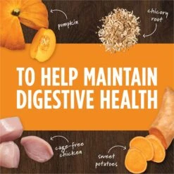 Merrick Real Texas Beef + Sweet Potato Recipe Grain-Free Chicken-Free Adult Dry Dog Food & Instinct Freeze-Dried Raw Boost Mixers Grain-Free Gut Health Recipe Dog Food Topper 19 Merrick Real Texas Beef + Sweet Potato Recipe Grain-Free Chicken-Free Adult Dry Dog Food & Instinct Freeze-Dried Raw Boost Mixers Grain-Free Gut Health Recipe Dog Food Topper -Snuggle Paws 293332 PT8. AC SS1800 V1670510773