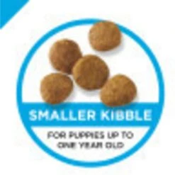 Purina Pro Plan High Protein Chicken & Rice Formula Dry Puppy Food & Wellness Soft Puppy Bites Lamb & Salmon Recipe Grain-Free Natural Dog Treats 12 Purina Pro Plan High Protein Chicken & Rice Formula Dry Puppy Food & Wellness Soft Puppy Bites Lamb & Salmon Recipe Grain-Free Natural Dog Treats -Snuggle Paws 293654 PT3. AC SS1800 V1620245833