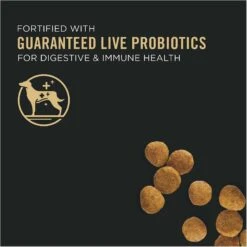 Purina Pro Plan High Protein DHA Lamb & Rice Formula Puppy Food & Wellness Soft Puppy Bites Lamb & Salmon Recipe Grain-Free Natural Dog Treats 13 Purina Pro Plan High Protein DHA Lamb & Rice Formula Puppy Food & Wellness Soft Puppy Bites Lamb & Salmon Recipe Grain-Free Natural Dog Treats -Snuggle Paws 293660 PT3. AC SS1800 V1623875585