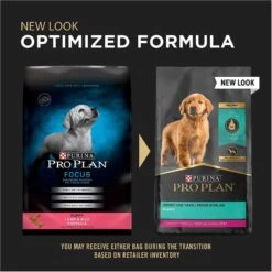 Purina Pro Plan High Protein DHA Lamb & Rice Formula Puppy Food & Wellness Soft Puppy Bites Lamb & Salmon Recipe Grain-Free Natural Dog Treats 14 Purina Pro Plan High Protein DHA Lamb & Rice Formula Puppy Food & Wellness Soft Puppy Bites Lamb & Salmon Recipe Grain-Free Natural Dog Treats -Snuggle Paws 293660 PT4. AC SS1800 V1623876496