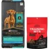Purina Pro Plan High Protein Chicken & Rice Formula Large Breed Dry Puppy Food & American Journey Beef Recipe Grain-Free Soft & Chewy Training Bits Dog Treats -Snuggle Paws 293666 MAIN. AC SS1800 V1657656666