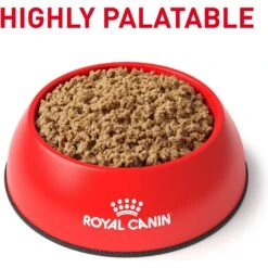 Royal Canin Veterinary Diet Adult Gastrointestinal Low Fat Loaf Canned Dog Food & Royal Canin Veterinary Diet Adult Gastrointestinal Low Fat Dry Dog Food 14 Royal Canin Veterinary Diet Adult Gastrointestinal Low Fat Loaf Canned Dog Food & Royal Canin Veterinary Diet Adult Gastrointestinal Low Fat Dry Dog Food -Snuggle Paws 293818 PT3. AC SS1800 V1694097921