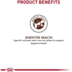 Royal Canin Veterinary Diet Adult Gastrointestinal Low Fat Dry Dog Food & Royal Canin Veterinary Diet Adult Gastrointestinal Dog Treats -Snuggle Paws 293820 PT4. AC SS1800 V1620086223