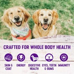 Wellness Complete Health Adult Deboned Chicken & Oatmeal Recipe Dry Dog Food & Wellness Complete Health Chicken & Sweet Potato Formula Natural Canned Dog Food -Snuggle Paws 293992 PT2. AC SS1800 V1621982277