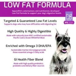 SquarePet VFS Digestive Support Low Fat Formula Dry Dog Food -Snuggle Paws 297027 PT2. AC SS1800 V1620880934