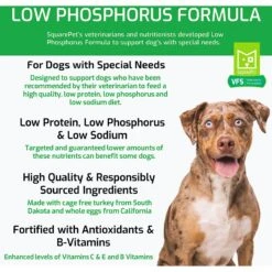SquarePet VFS Low Phosphorus Formula Dry Dog Food -Snuggle Paws 297037 PT2. AC SS1800 V1620914274