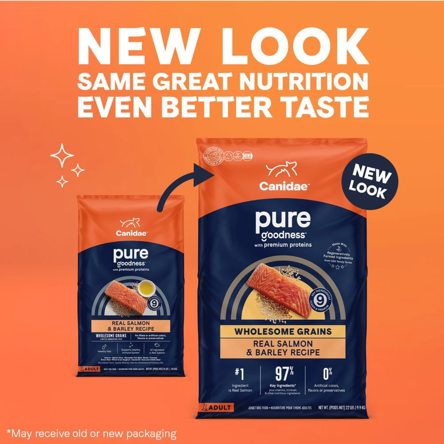 CANIDAE PURE With Wholesome Grains Real Salmon & Barley Recipe Adult Dry Dog Food 4 CANIDAE PURE With Wholesome Grains Real Salmon & Barley Recipe Adult Dry Dog Food - Image 2