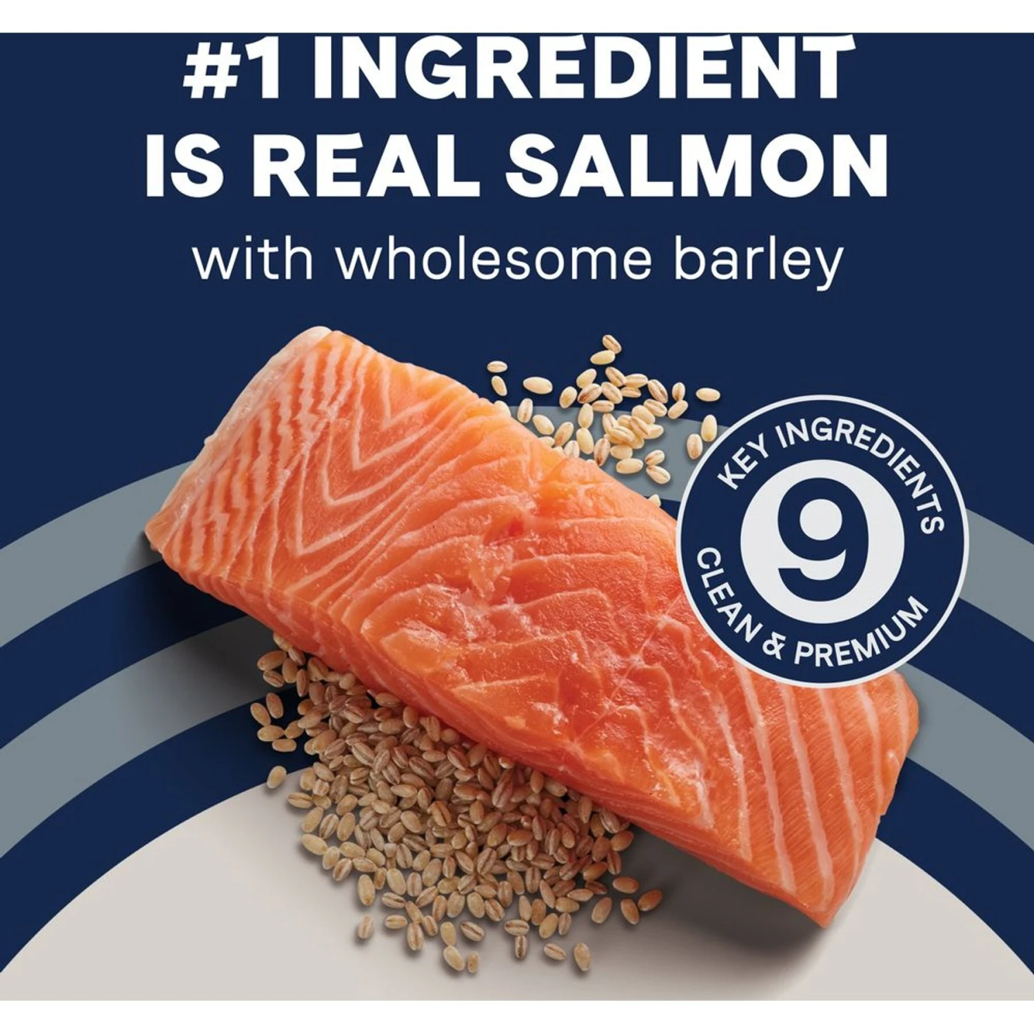 CANIDAE PURE With Wholesome Grains Real Salmon & Barley Recipe Adult Dry Dog Food 7 CANIDAE PURE With Wholesome Grains Real Salmon & Barley Recipe Adult Dry Dog Food - Image 5