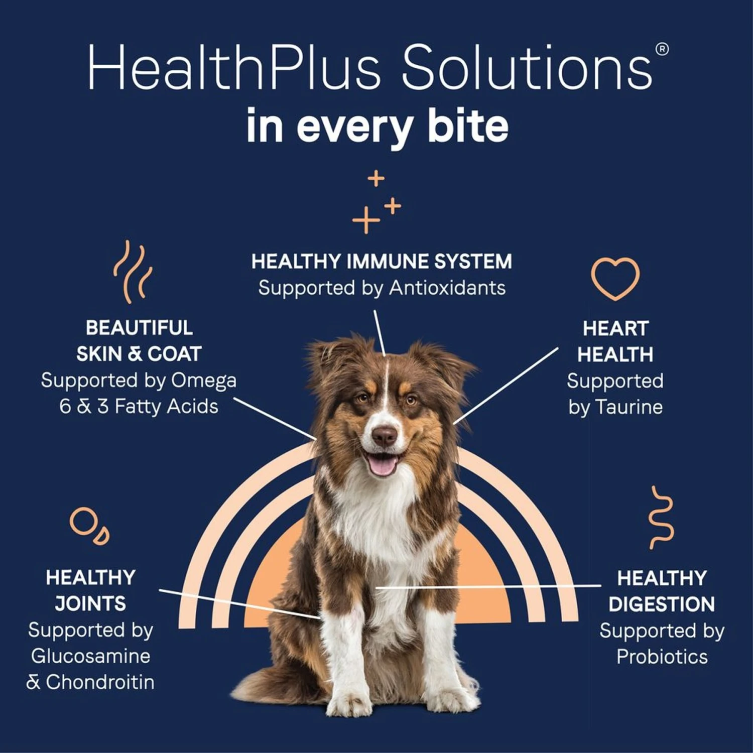 CANIDAE PURE With Wholesome Grains Real Salmon & Barley Recipe Adult Dry Dog Food 9 CANIDAE PURE With Wholesome Grains Real Salmon & Barley Recipe Adult Dry Dog Food - Image 7