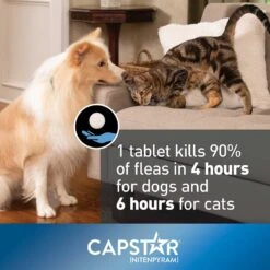 Capstar Flea Oral Treatment For Dogs, Over 25 Lbs & Onguard Plus Flea & Tick Spot Treatment For Dogs, 89-132 Lbs -Snuggle Paws 297658 PT2. AC SS1800 V1626730577