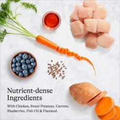 American Journey Puppy Chicken & Sweet Potato Recipe Grain-Free Dry Dog Food & Tylee's Freeze-Dried Meals For Dogs, Chicken & Salmon Recipe -Snuggle Paws 297808 PT4. AC SS1800 V1694613034